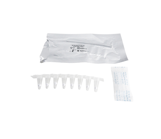 RT-PCR Detection Kit 