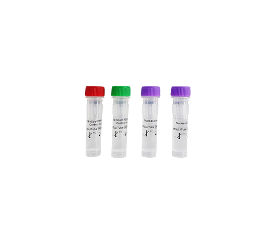 RT-PCR Detection Kit 