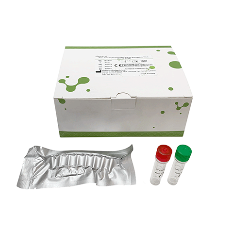 Monkeypox Virus Real Time PCR Detection Kit (freeze-dried)